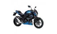 Kawasaki Z250/Z300 Fairings UK Stores