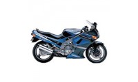 Kawasaki ZZR600 Fairings UK Stores