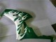 2006-2007 White Green Flame Honda CBR1000RR Motorcycle Fairings UK Stores