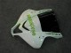 2007-2008 White Green Glossy Black Hannspree Honda CBR600RR Motorcycle Fairing UK Stores