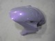 2004-2005 Chameleon Grey Dazz Pearl Purple Honda CBR1000RR Motorcycle Fairings UK Stores
