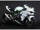 2015-2022 White Silver Green Kawasaki Ninja H2 Motorcycle Fairings UK Stores
