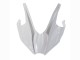 2015-2022 White Silver Green Kawasaki Ninja H2 Motorcycle Fairings UK Stores
