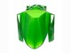 2022-2025 Green Glossy Black Kawasaki Versys 650 Motorcycle Fairings UK Stores