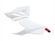 2020-2024 White Red Matte Black Ducati Panigale V2 Motorcycle Fairings UK Stores