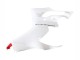 2020-2024 White Red Matte Black Ducati Panigale V2 Motorcycle Fairings UK Stores
