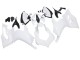 2020-2024 Unpainted Ducati Panigale V2 Motorcycle Fairings UK Stores