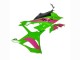 2023-2024 Pink Green Black BMW S1000RR Motorcycle Fairings UK Stores