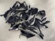 2023-2024 Glossy Black Carbon Fiber BMW S1000RR Motorcycle Fairings UK Stores