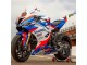 2019-2022 White Blue Red Smiths BMW S1000RR Motorcycle Fairings UK Stores