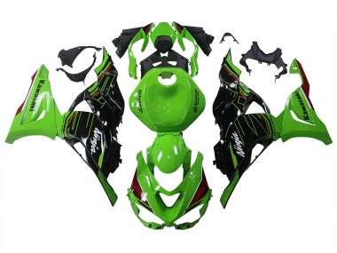 2023-2025 Green Black Kawasaki ZX6R Motorcycle Fairings UK Stores