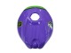 2006-2011 Purple Green Red Aprilia RS125 Motorcycle Fairings UK Stores