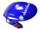 2008-2011 White Red Blue Black Star Lee Carrera Honda CBR1000RR Motorcycle Fairings UK Stores