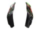 2021-2025 Green Black Red Kawasaki ZX10R Motorcycle Fairings UK Stores