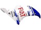 2005 White Blue Dunlop Fiat Motul Yamaha YZF 600 R6 Motorcycle Fairings UK Stores