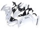 2012-2016 White Black Kawasaki EX650 Motorcycle Fairings UK Stores