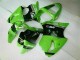 2000-2002 Green Black Kawasaki ZX6R Bike Fairings UK Stores