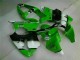 2000-2002 Green Black Kawasaki ZX6R Motorbike Fairing UK Stores